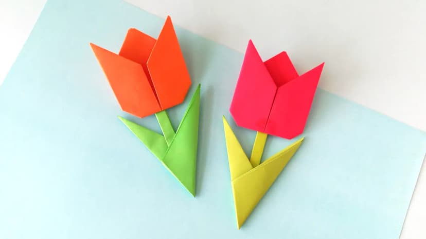 Origami & Kağıt